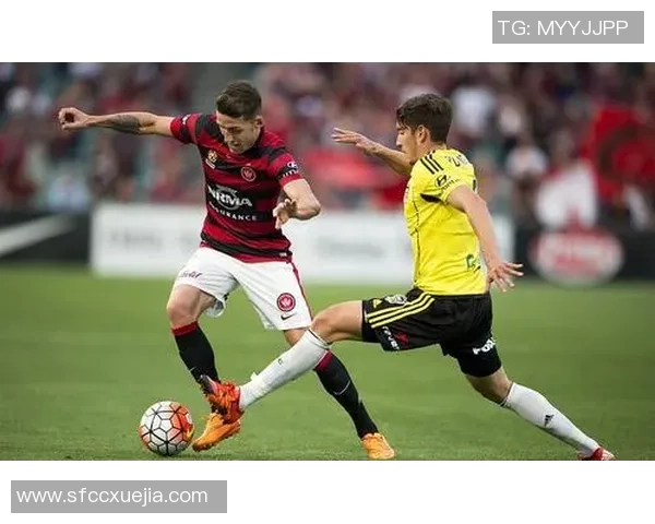 威灵顿凤凰主场迎战墨尔本球队争夺胜利的精彩对决