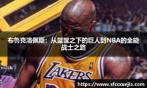 布鲁克洛佩斯：从篮筐之下的巨人到NBA的全能战士之路